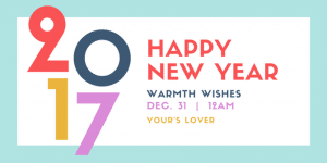 Happy New Year Photo Cards 2017