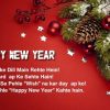 Happy New Year Wishes in Hindi