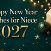 Happy New Year wishes for niece 2027